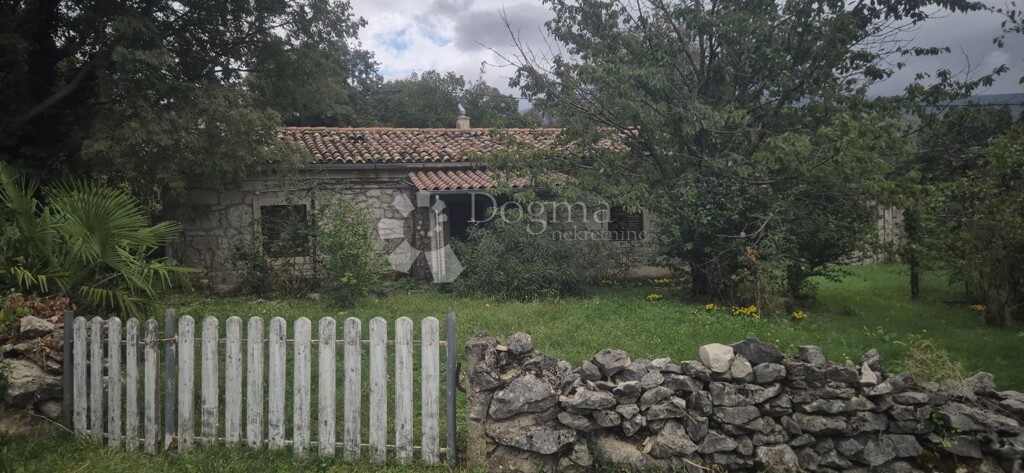 Image 15