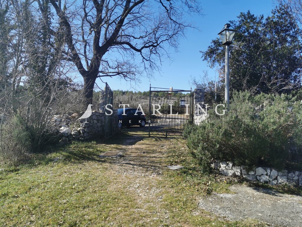 Image 9