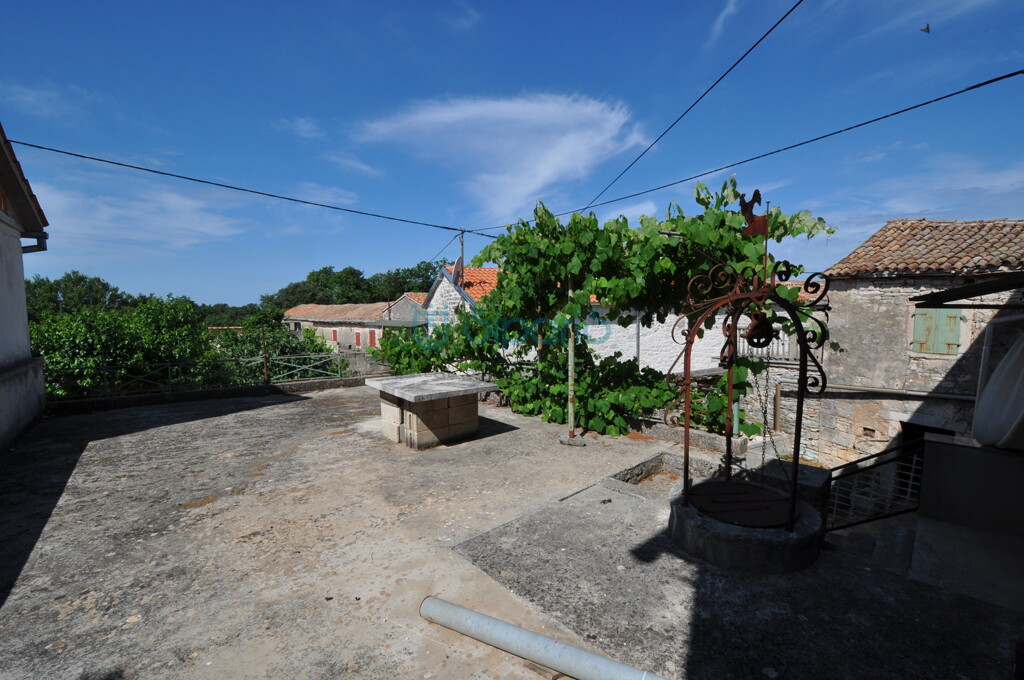 Image 9