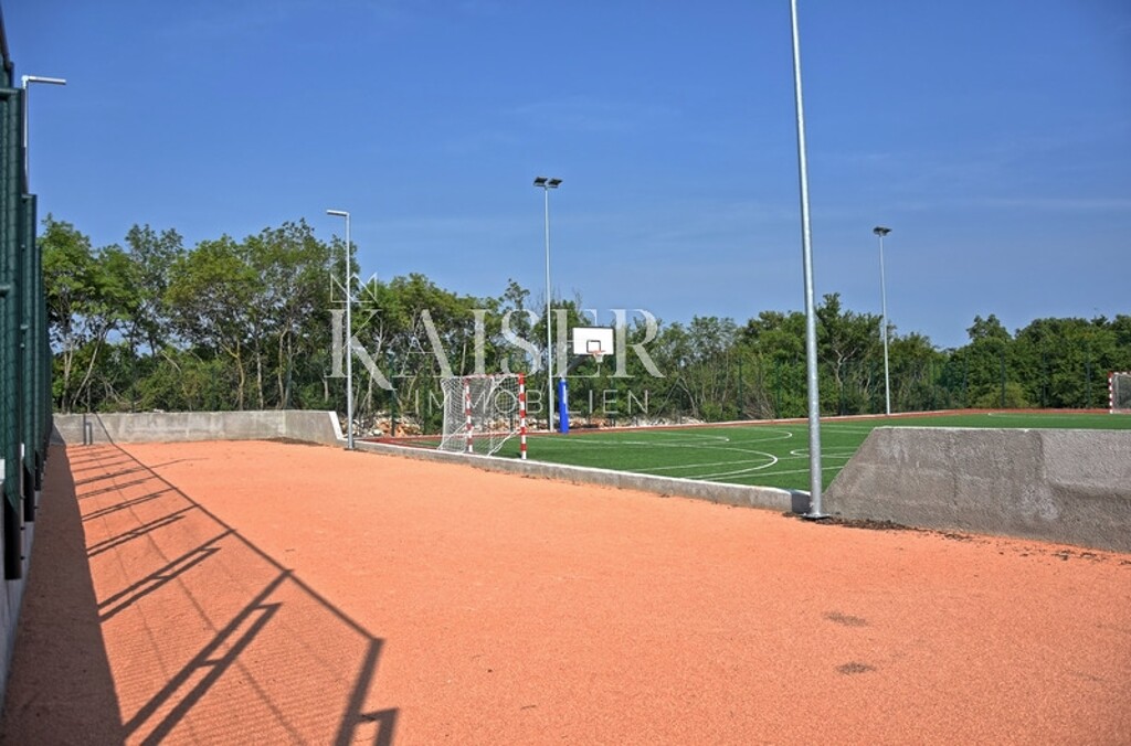 Image 25