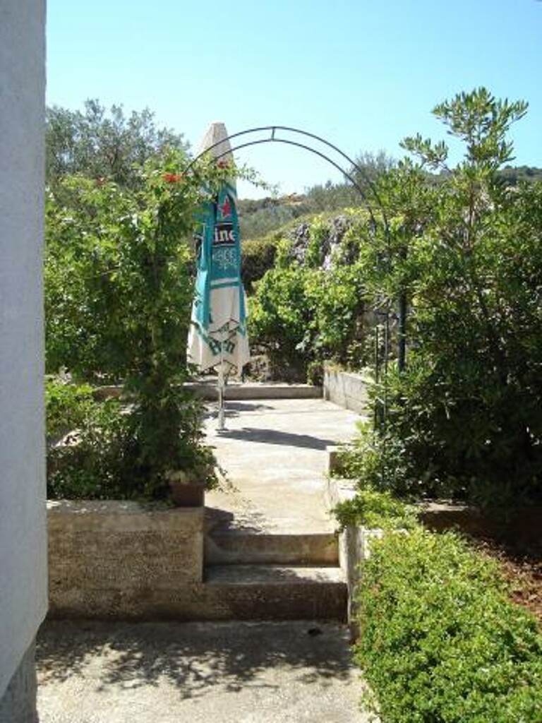 Image 3812302 - 11