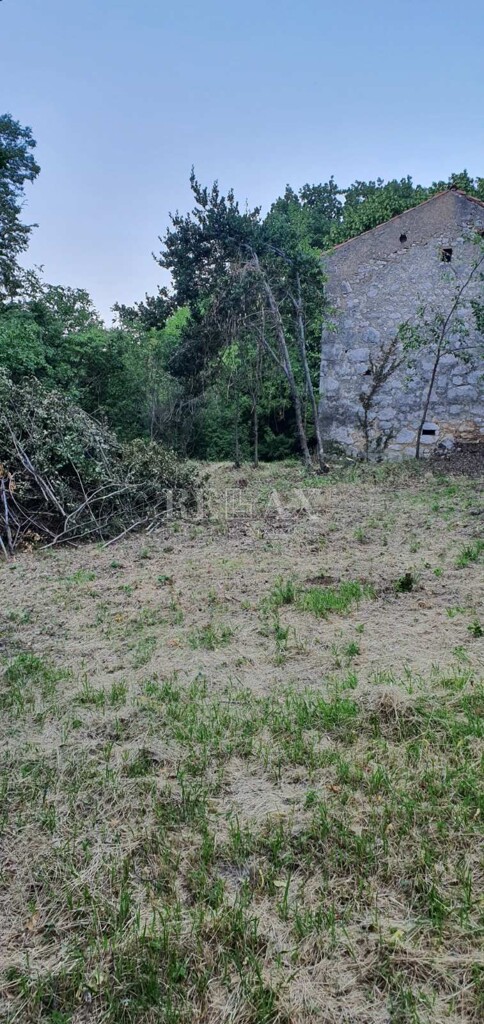 Image 11