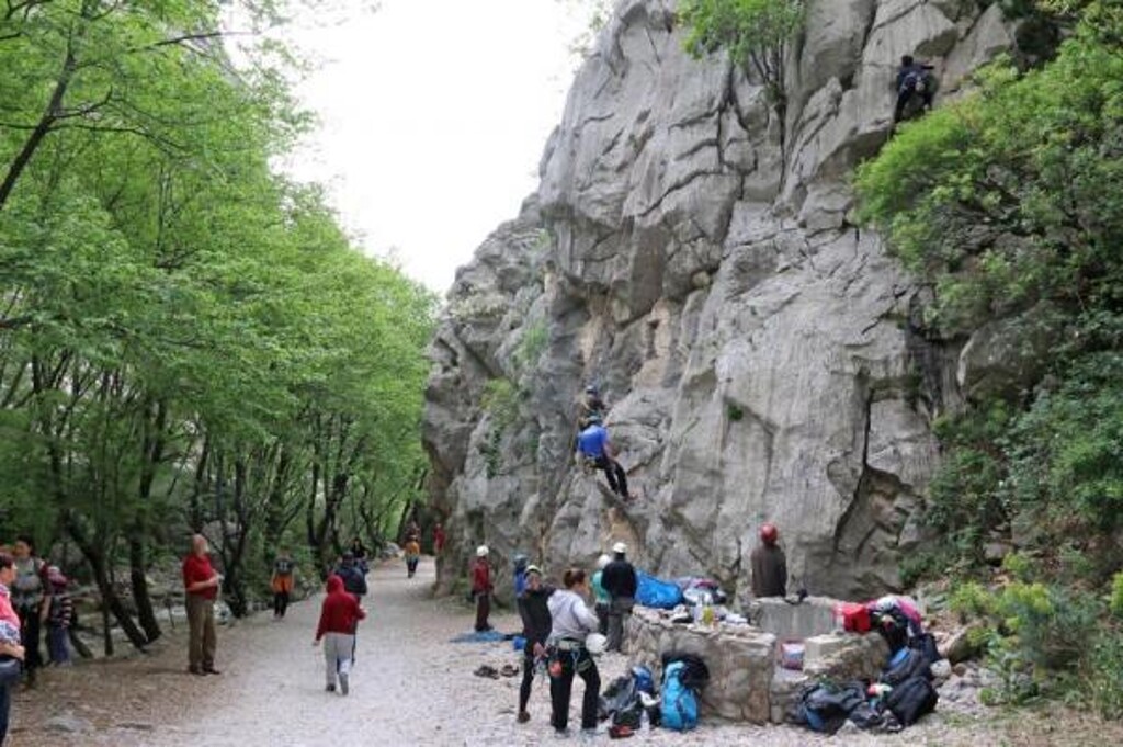 Image 3811853 - 13