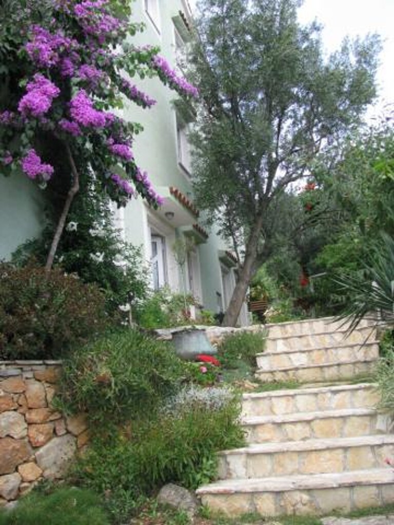 Image 3823112 - 8