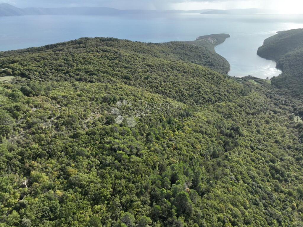 Image 13