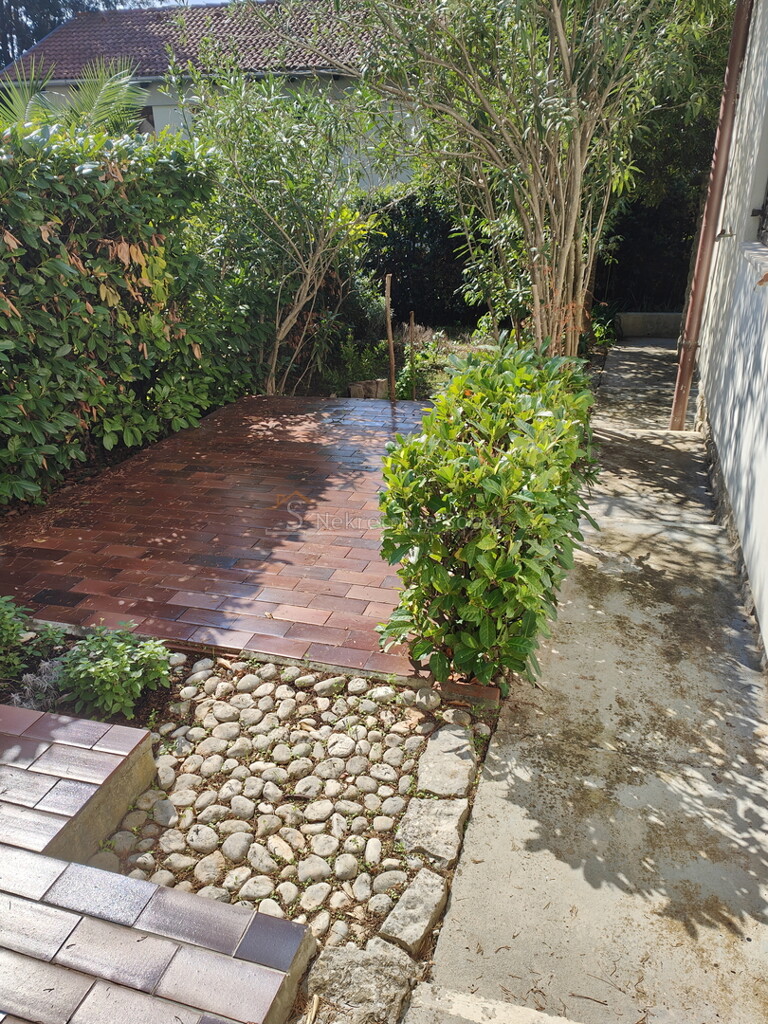 Image 14