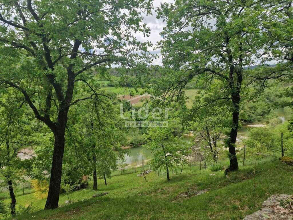 Image 18