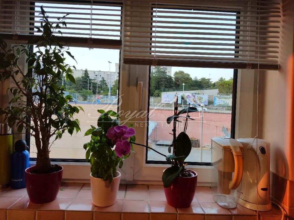 Image 8