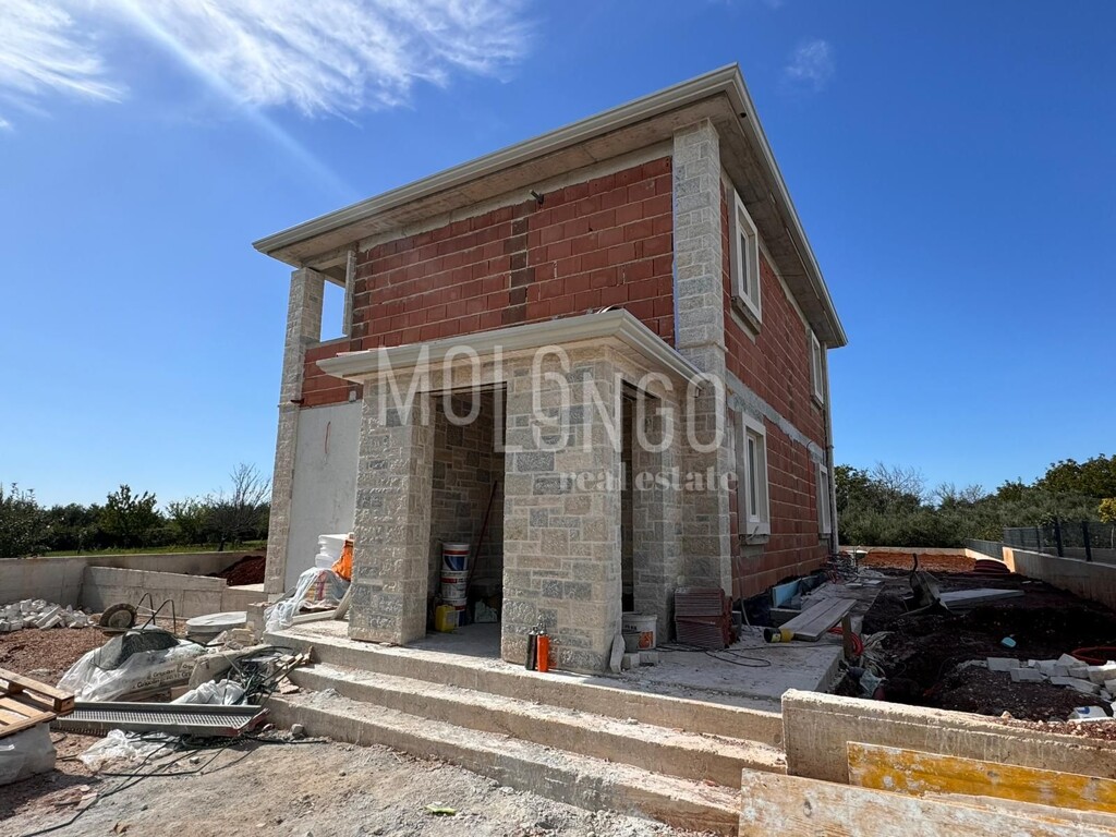 Image 19