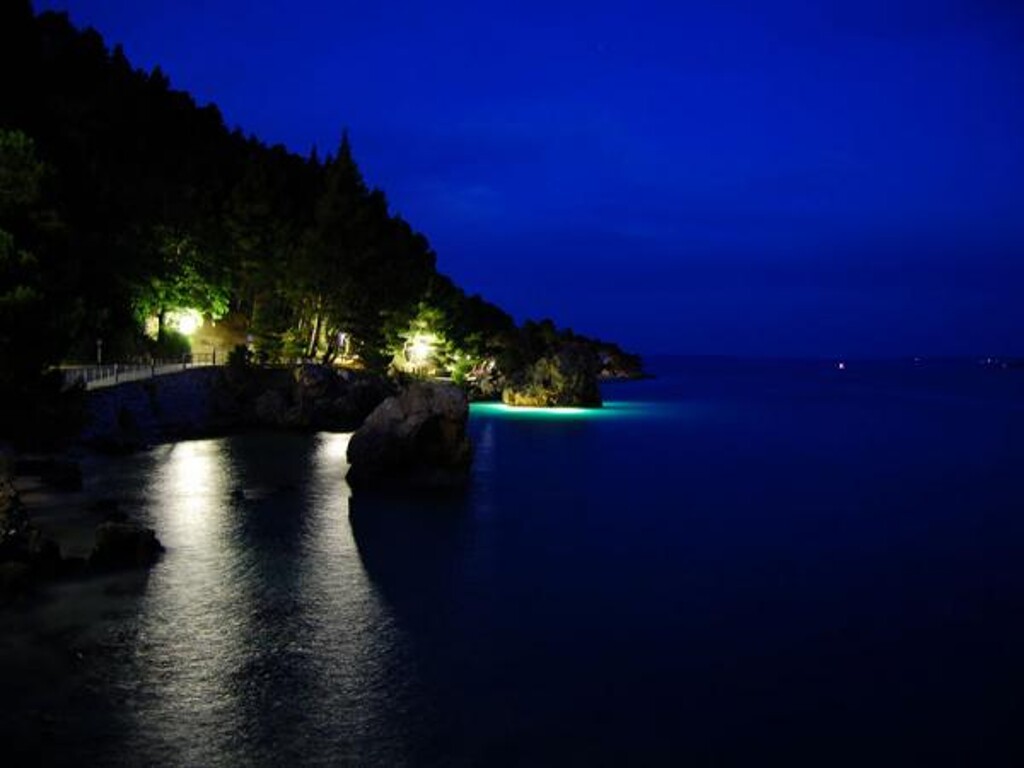 Image 3811542 - 26