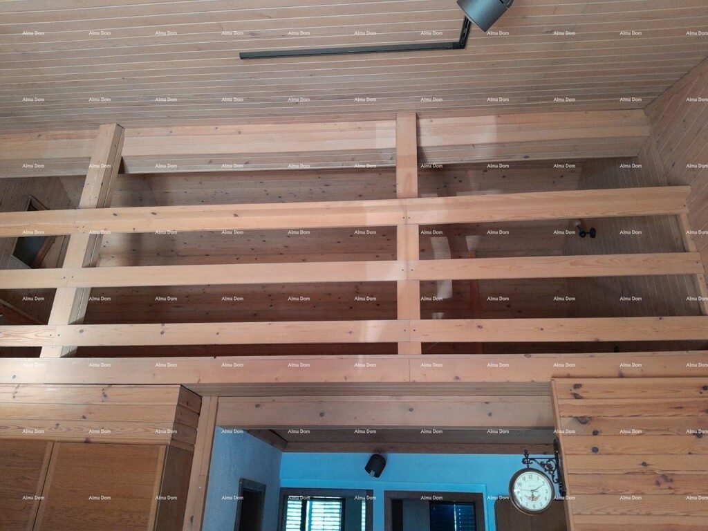 Image 15