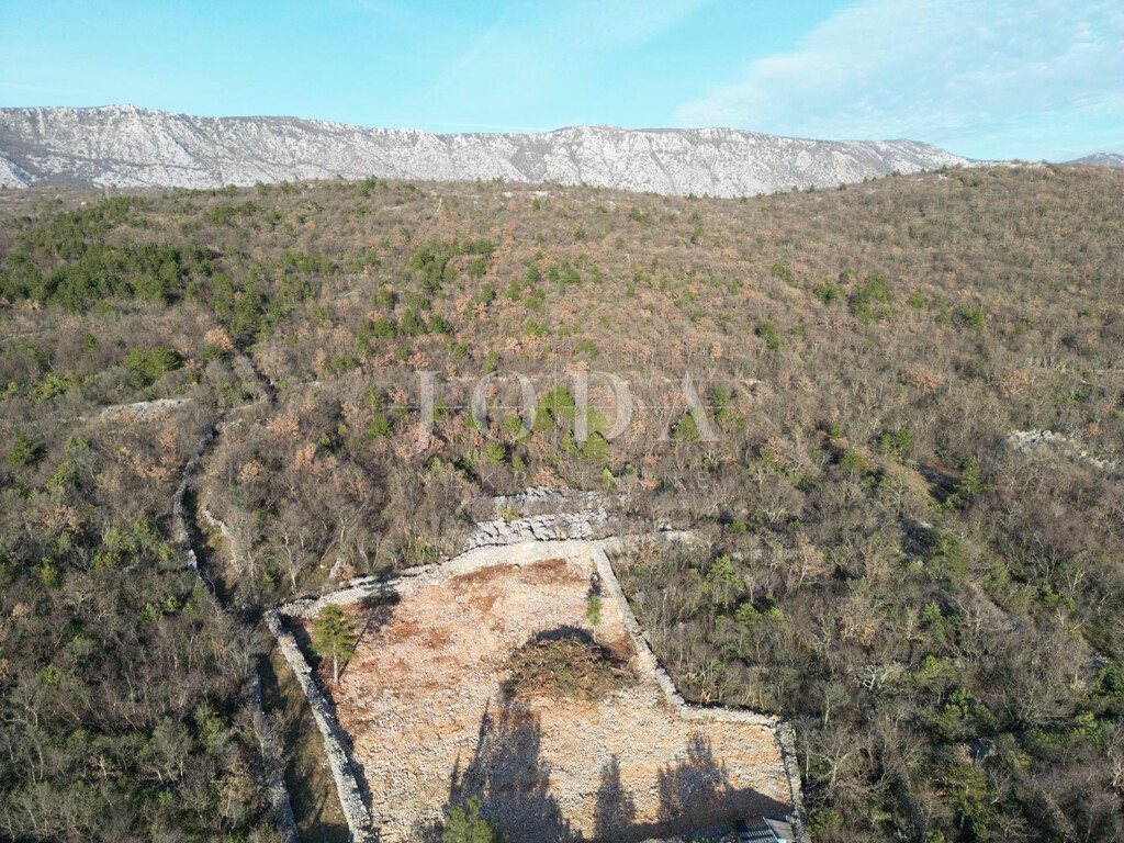 Image 13