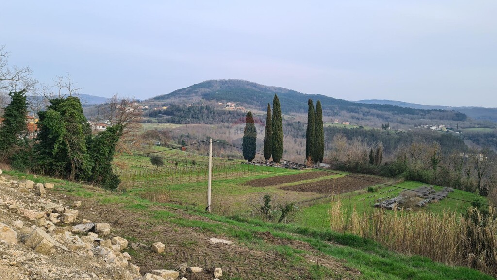 Image 13