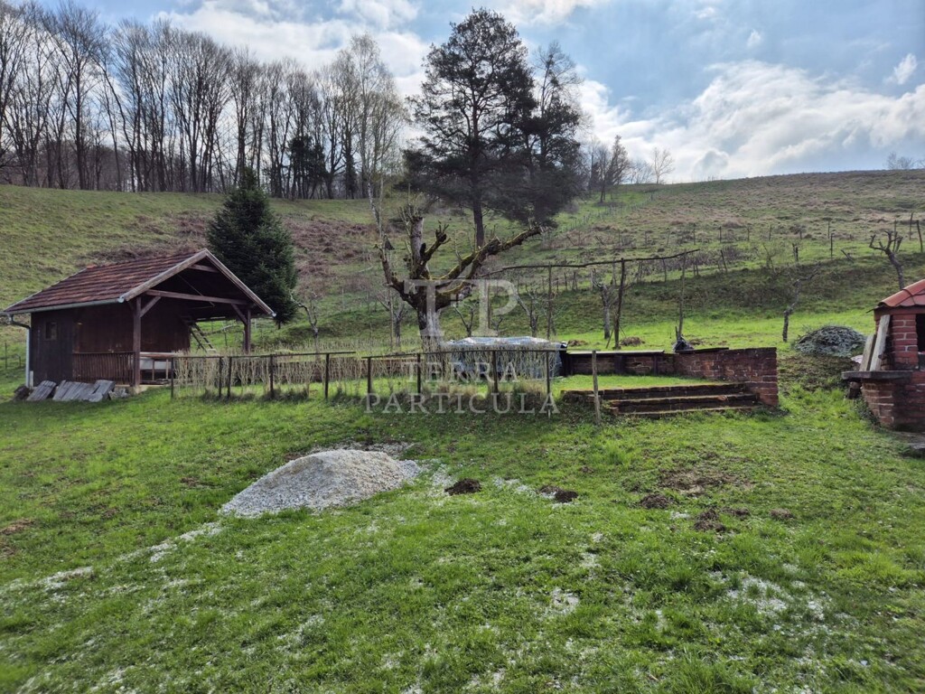Image 19