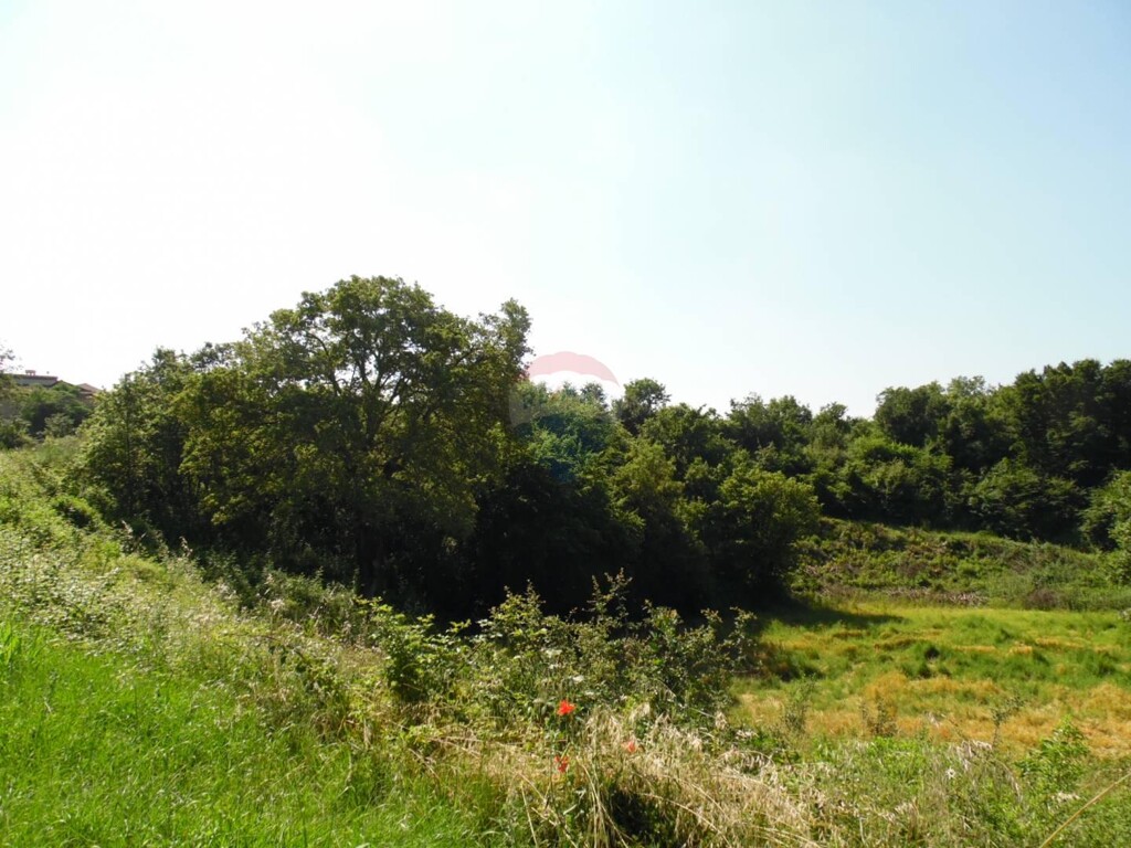 Image 5443570 - 6