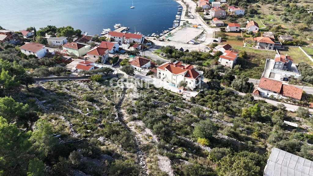 Image 6