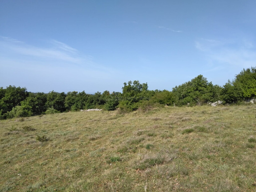 Image 13