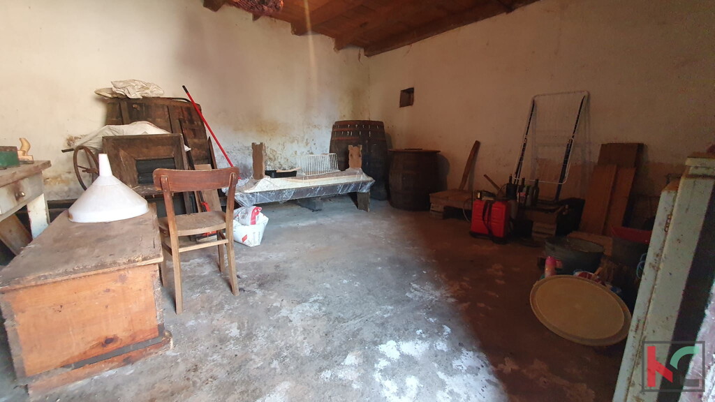 Image 21