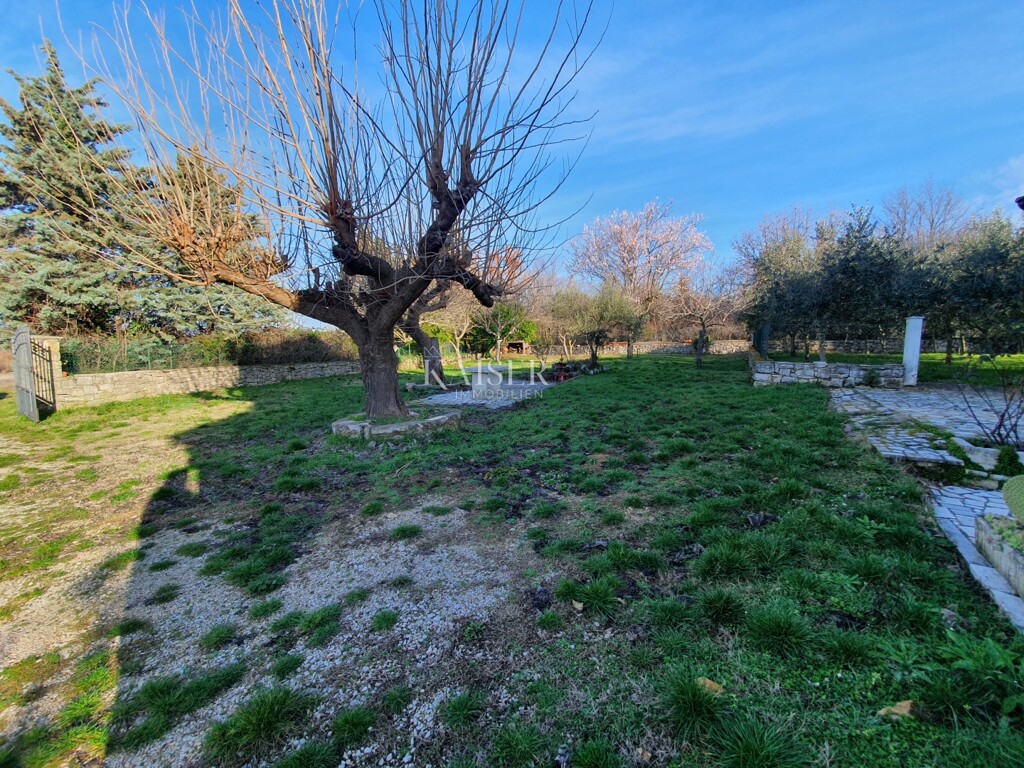 Image 13