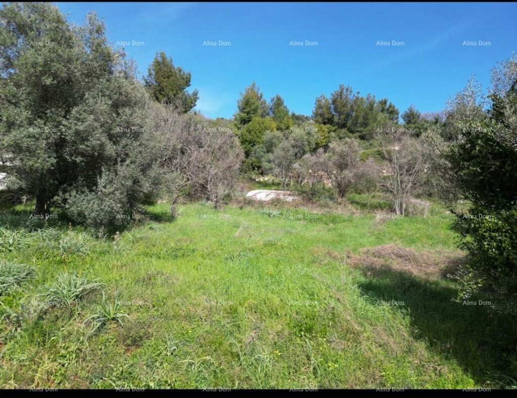 Image 15