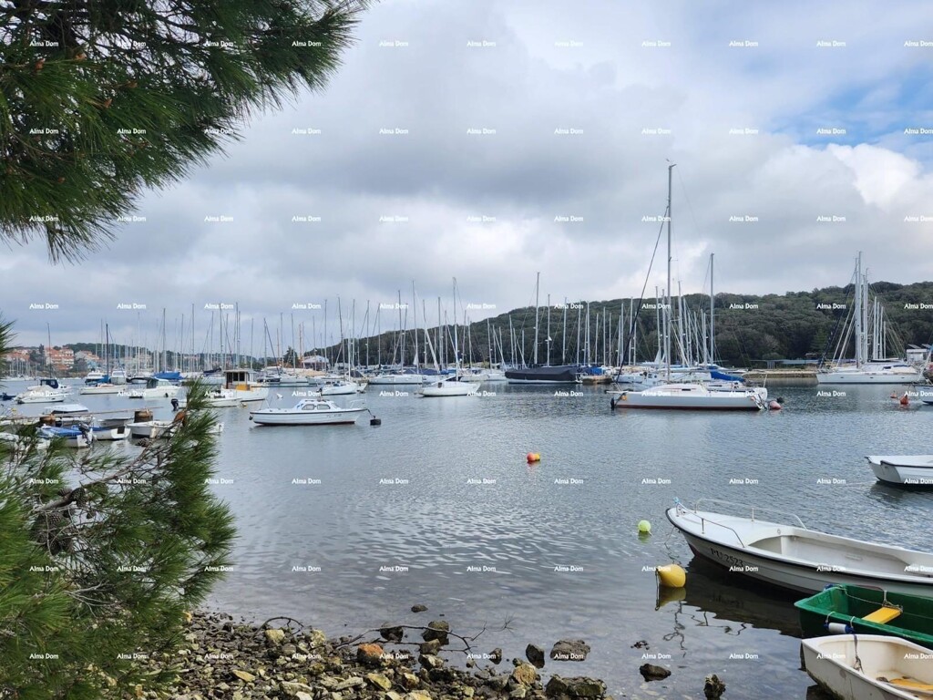 Image 15