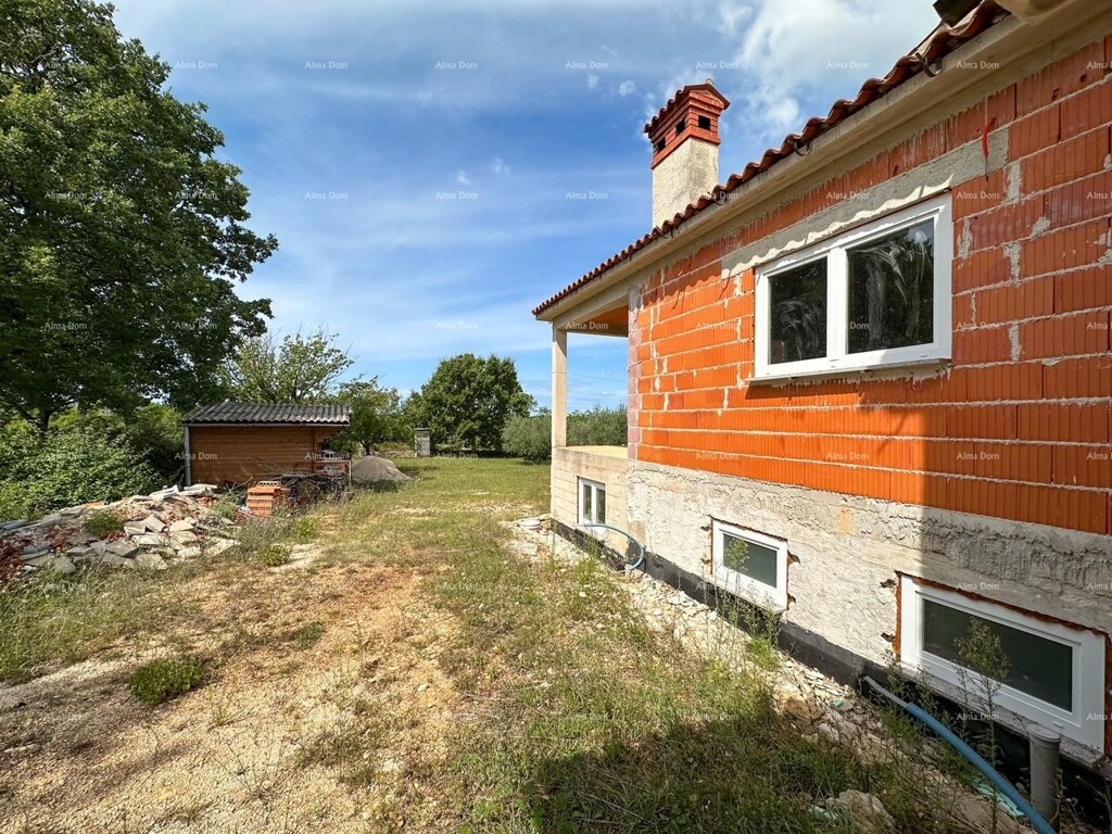 Image 10