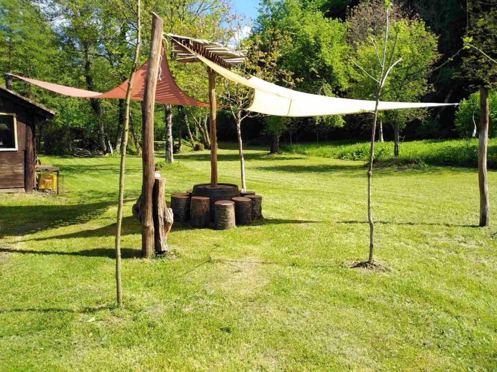 Image 12