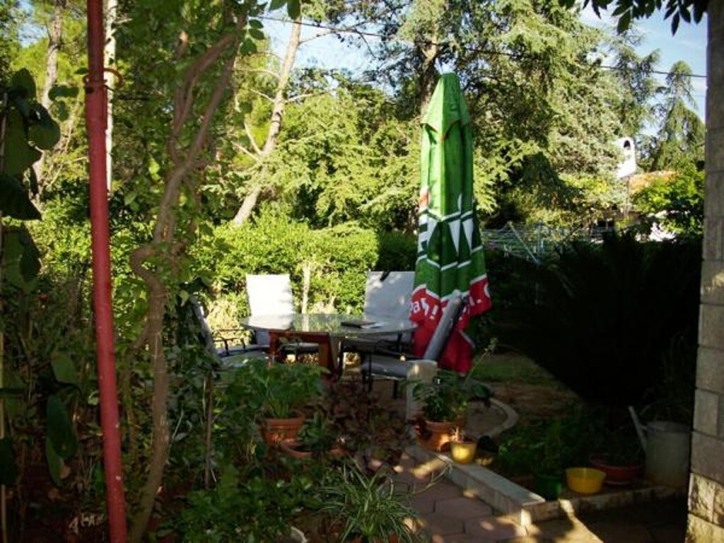 Image 3838756 - 8