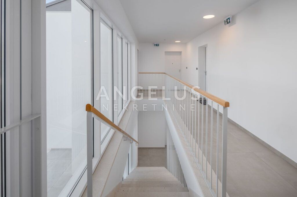 Image 19