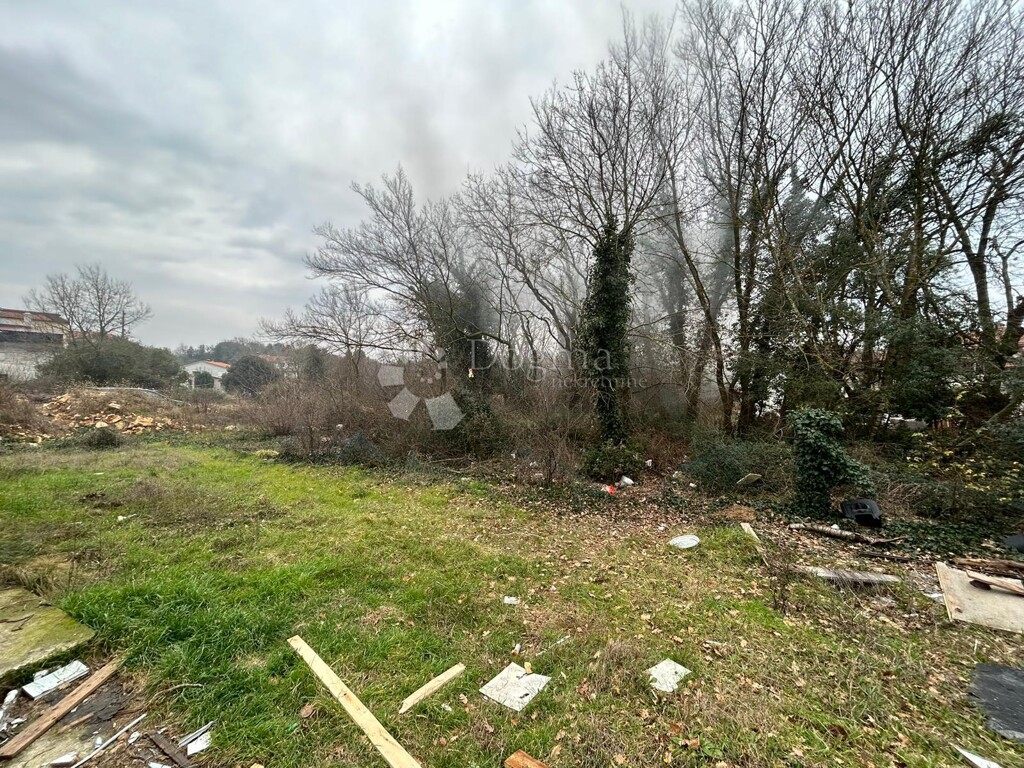 Image 13