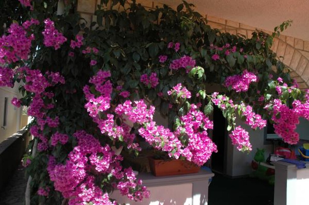 Image 3814552 - 7