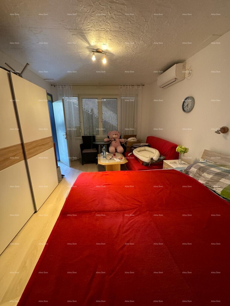 Image 12