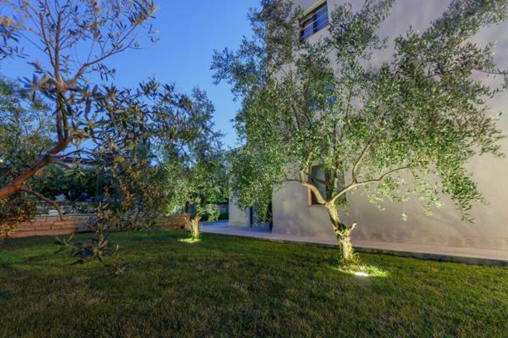 Image 3812868 - 11
