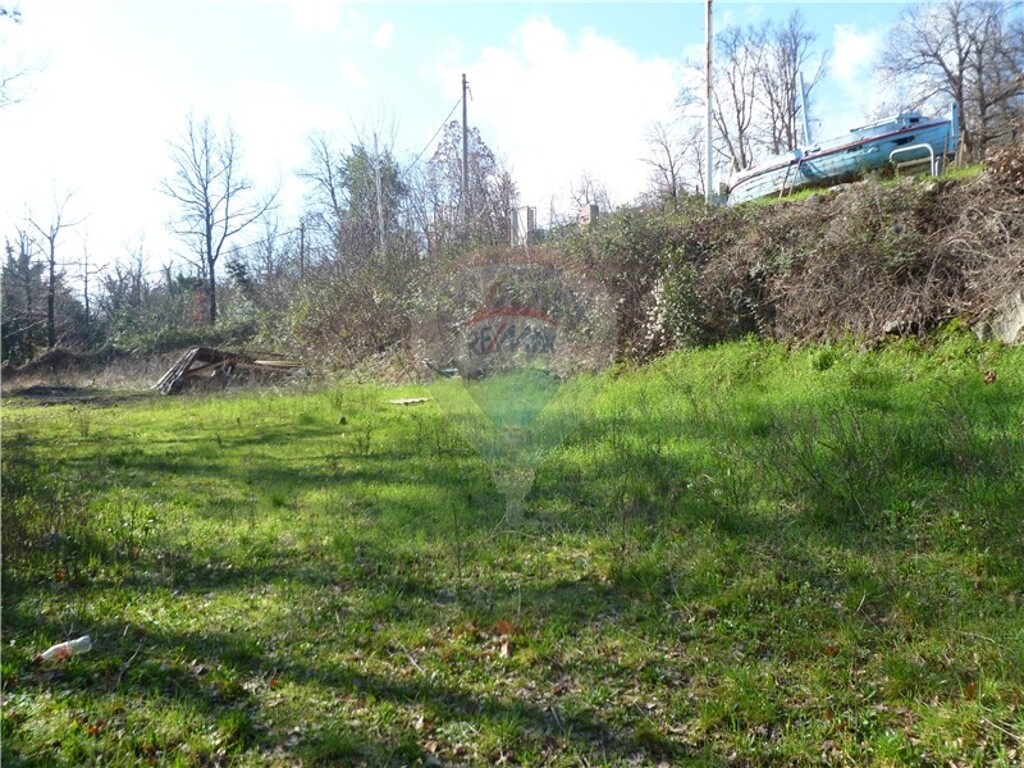 Image 5411084 - 4