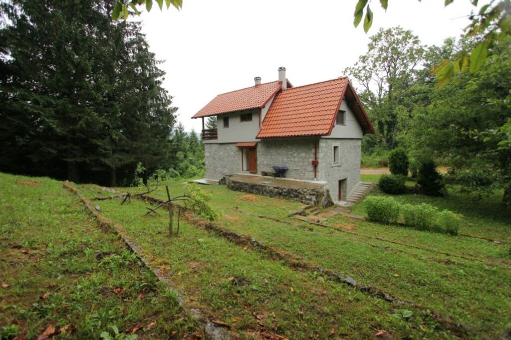 Image 13
