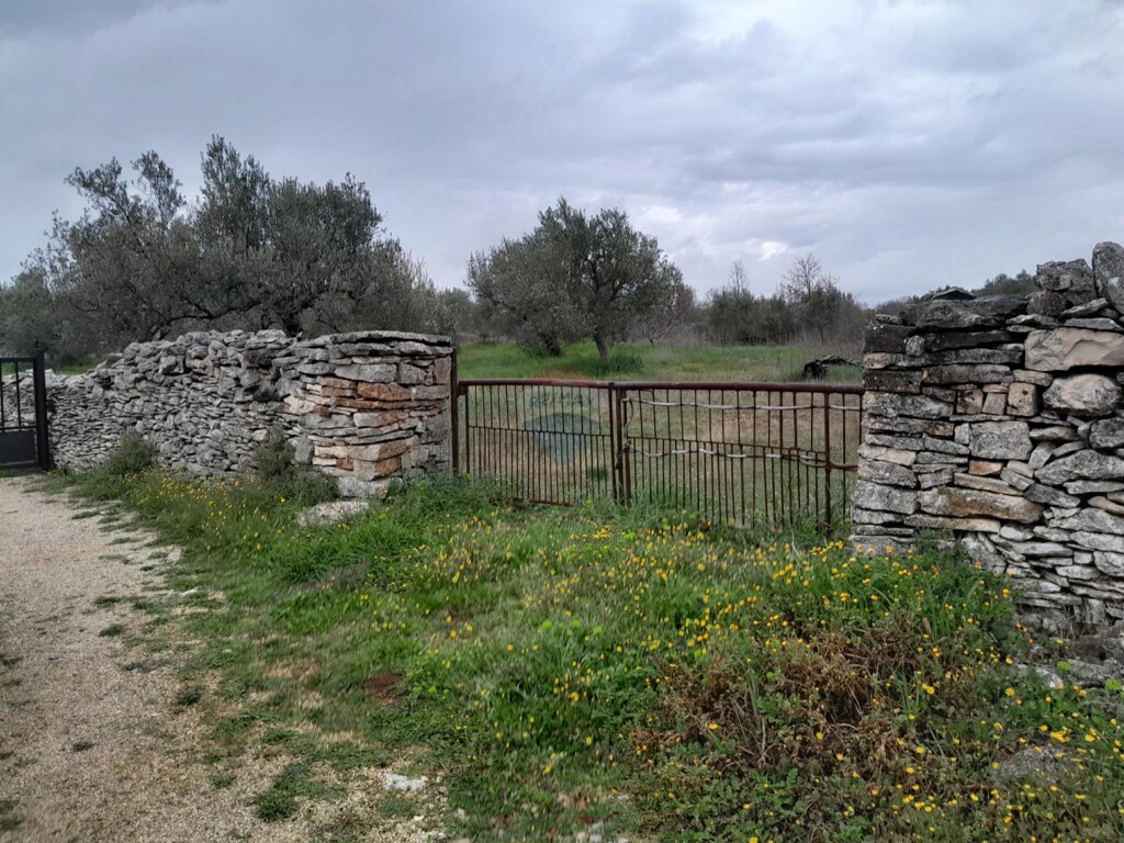 Image 9