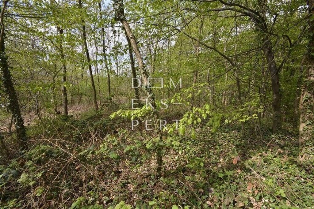 Image 5622173 - 3