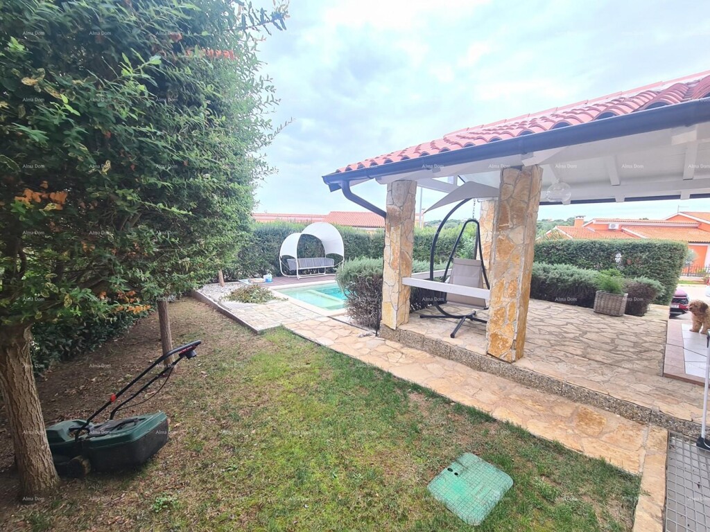 Image 13