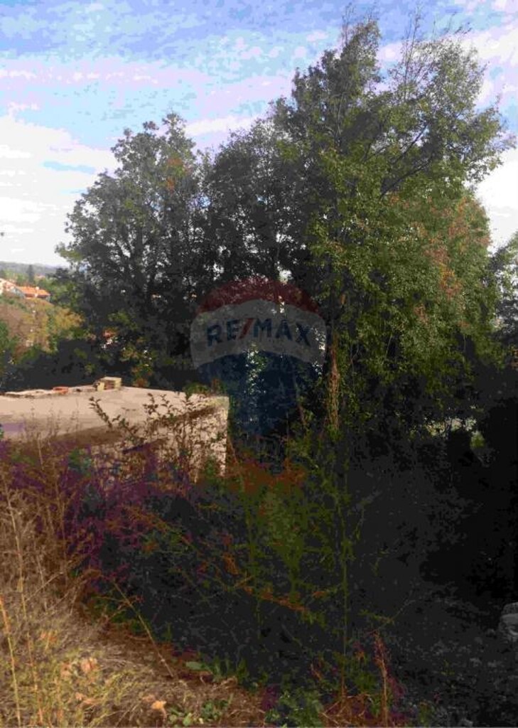 Image 5410954 - 1