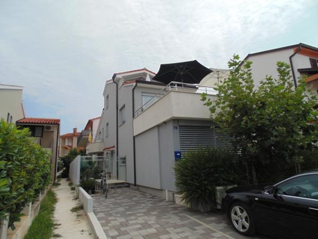 Image 3815029 - 5