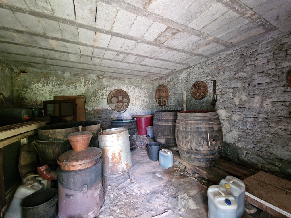 Image 17