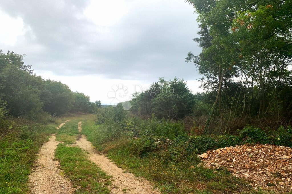Image 12