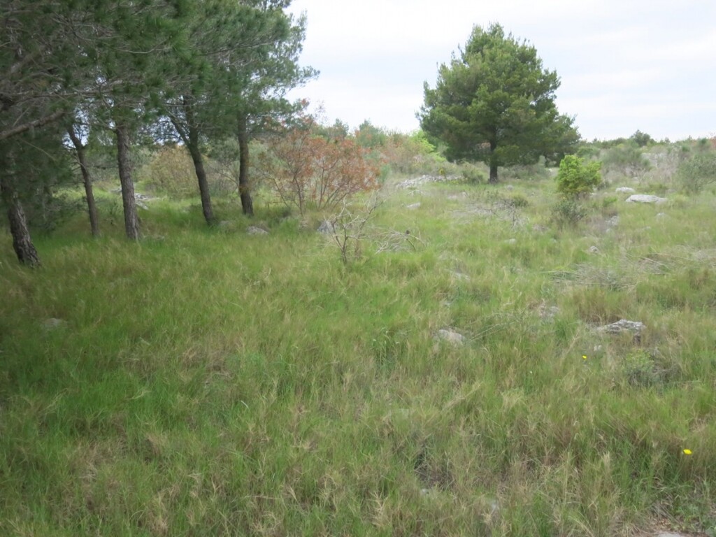 Image 4950662 - 3