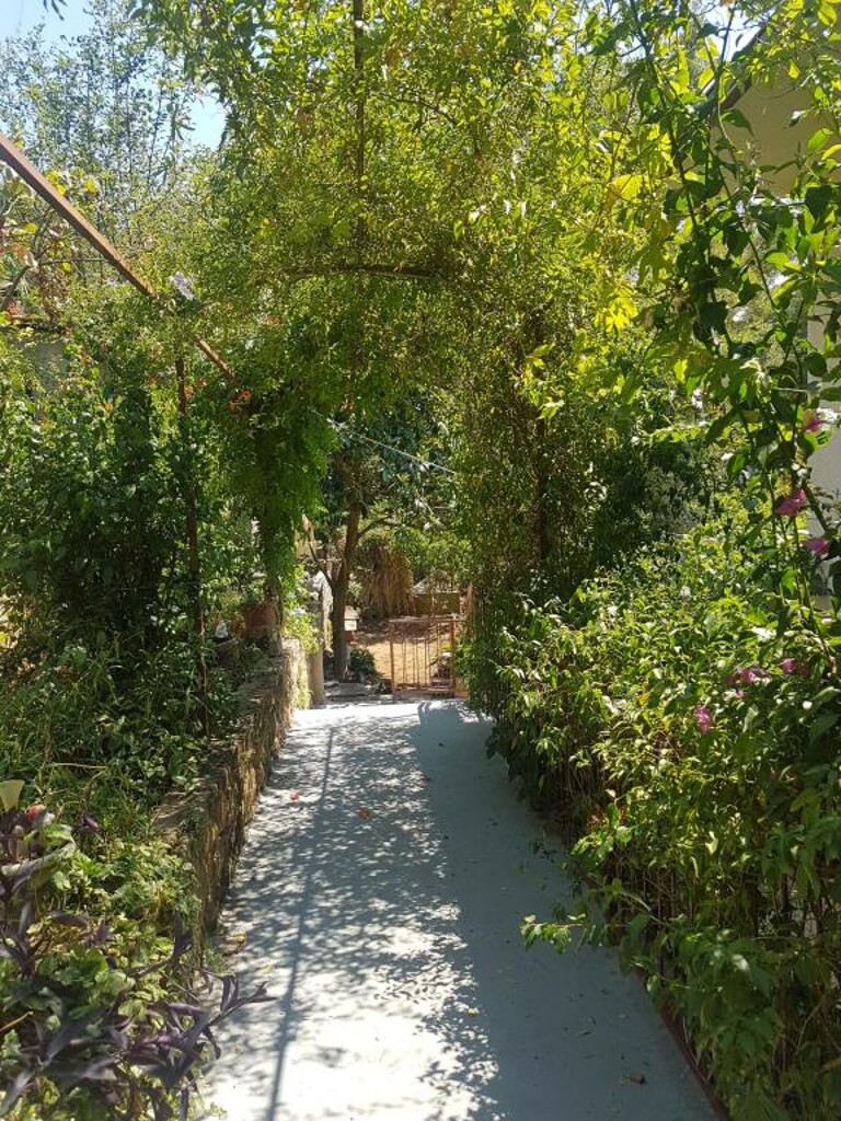 Image 12