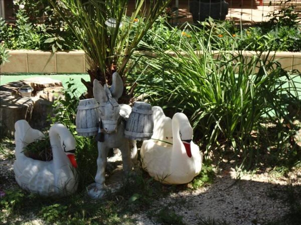Image 3838623 - 7
