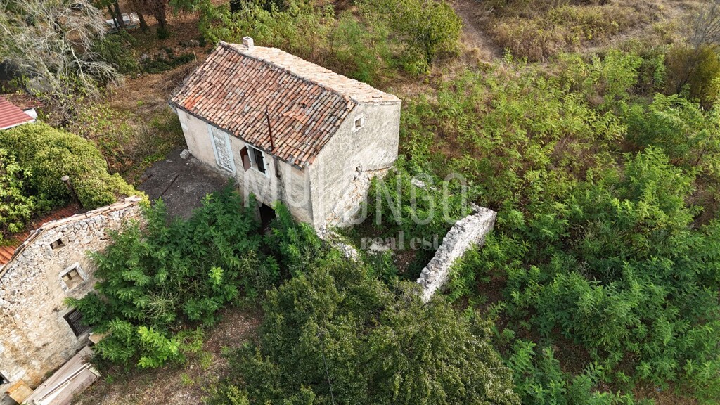 Image 6094516 - 1