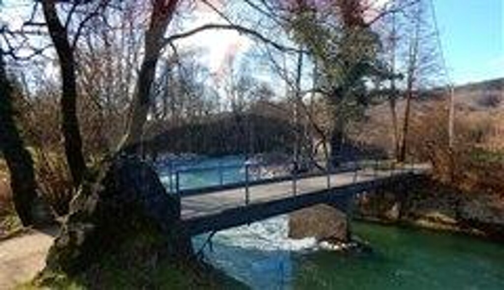 Image 5410902 - 1