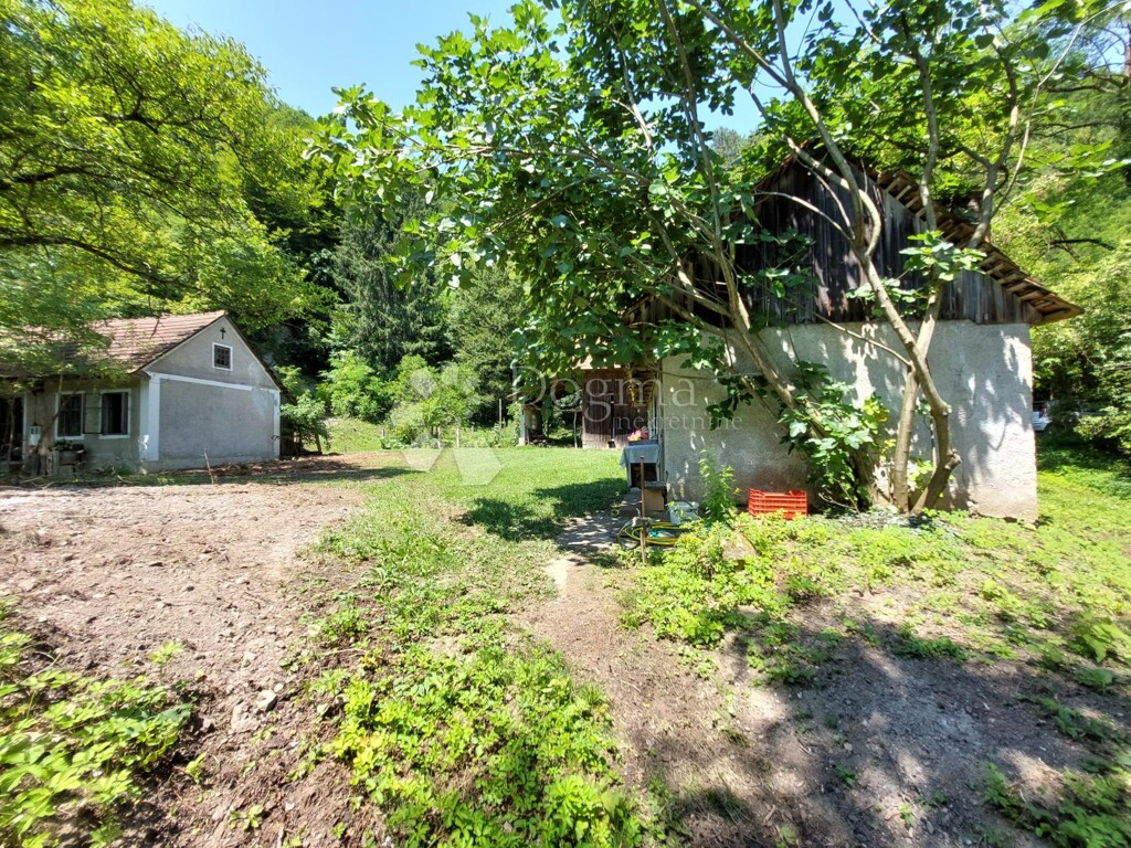 Image 19