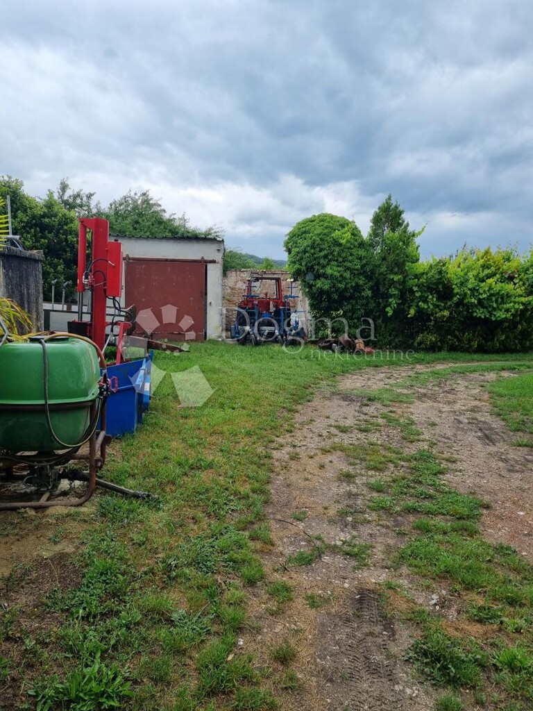 Image 12