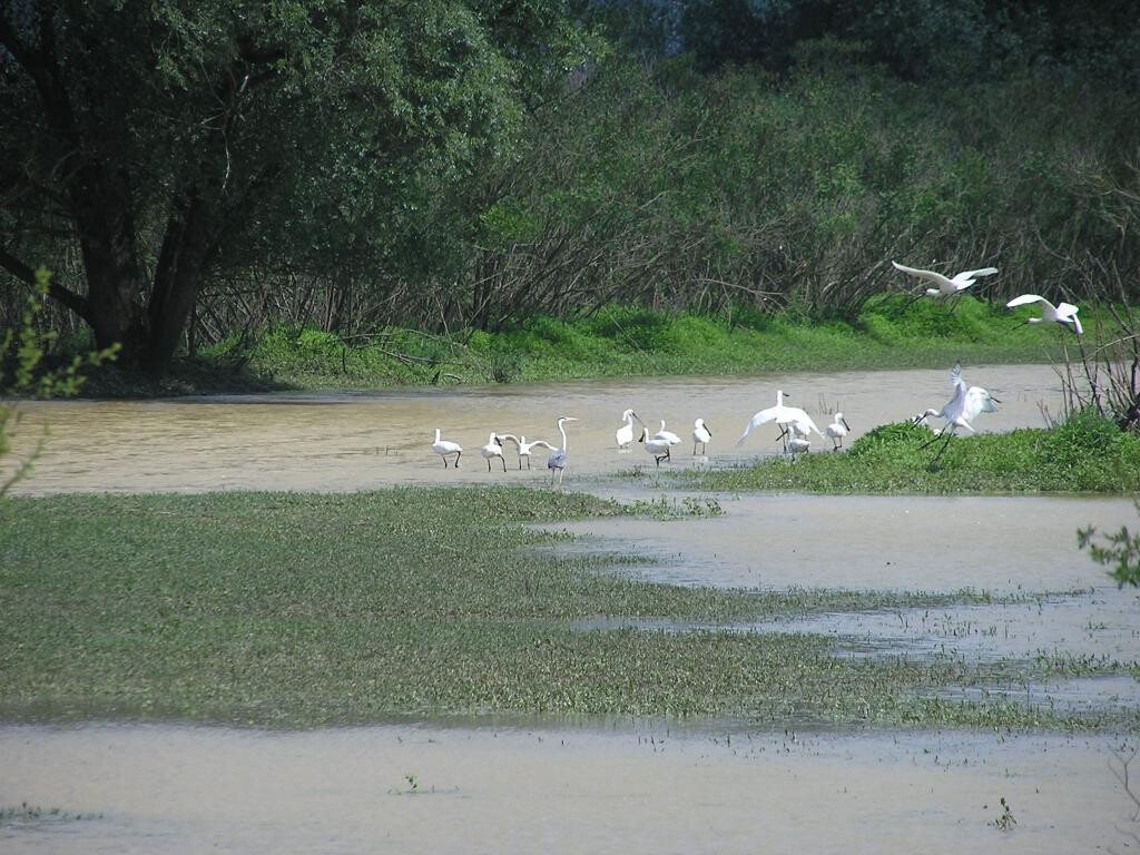 Image 11